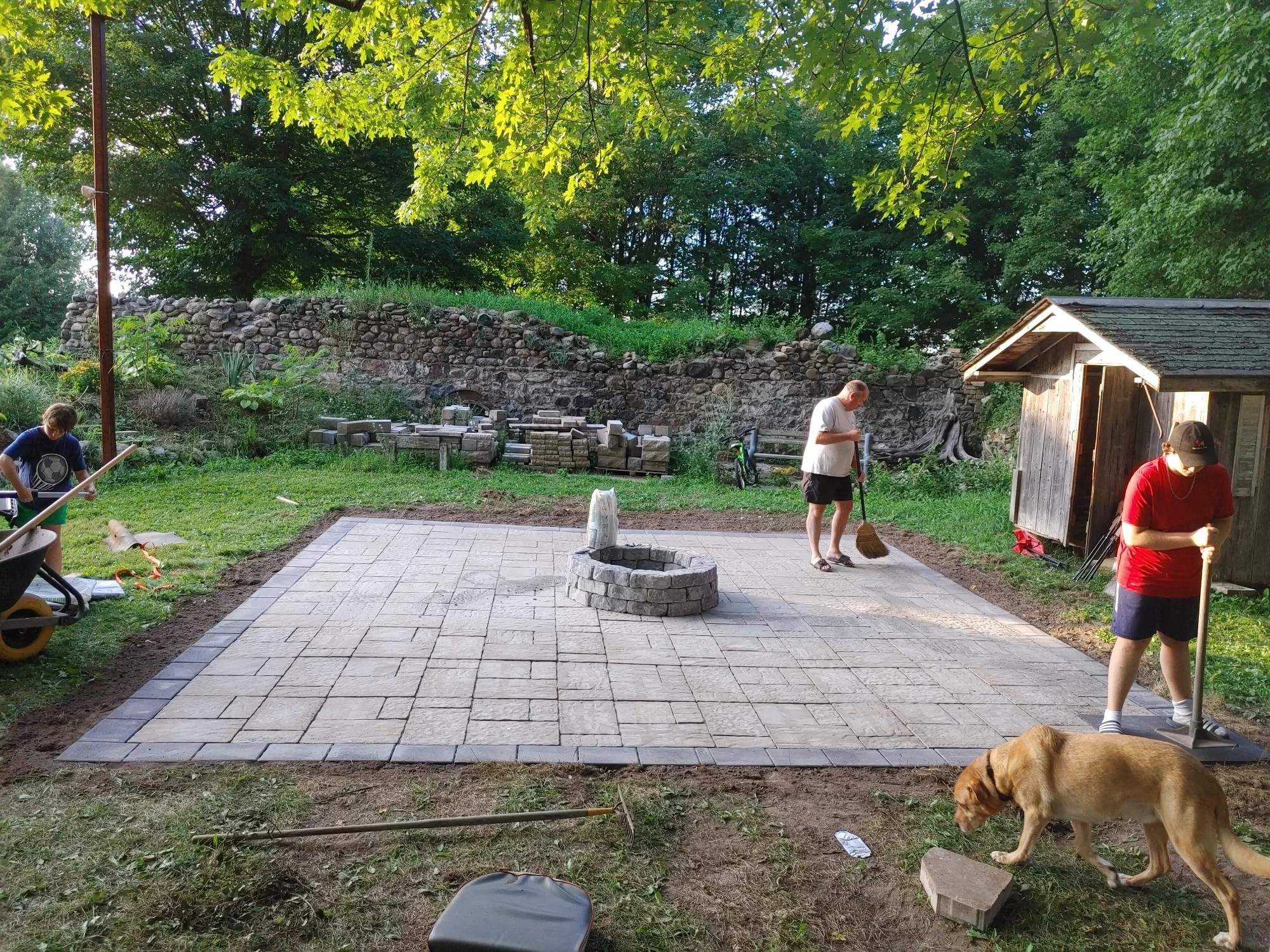 People working on a backyard patio with new brick pavers, in a shaded area with trees, a small shed, and a dog walking nearby.