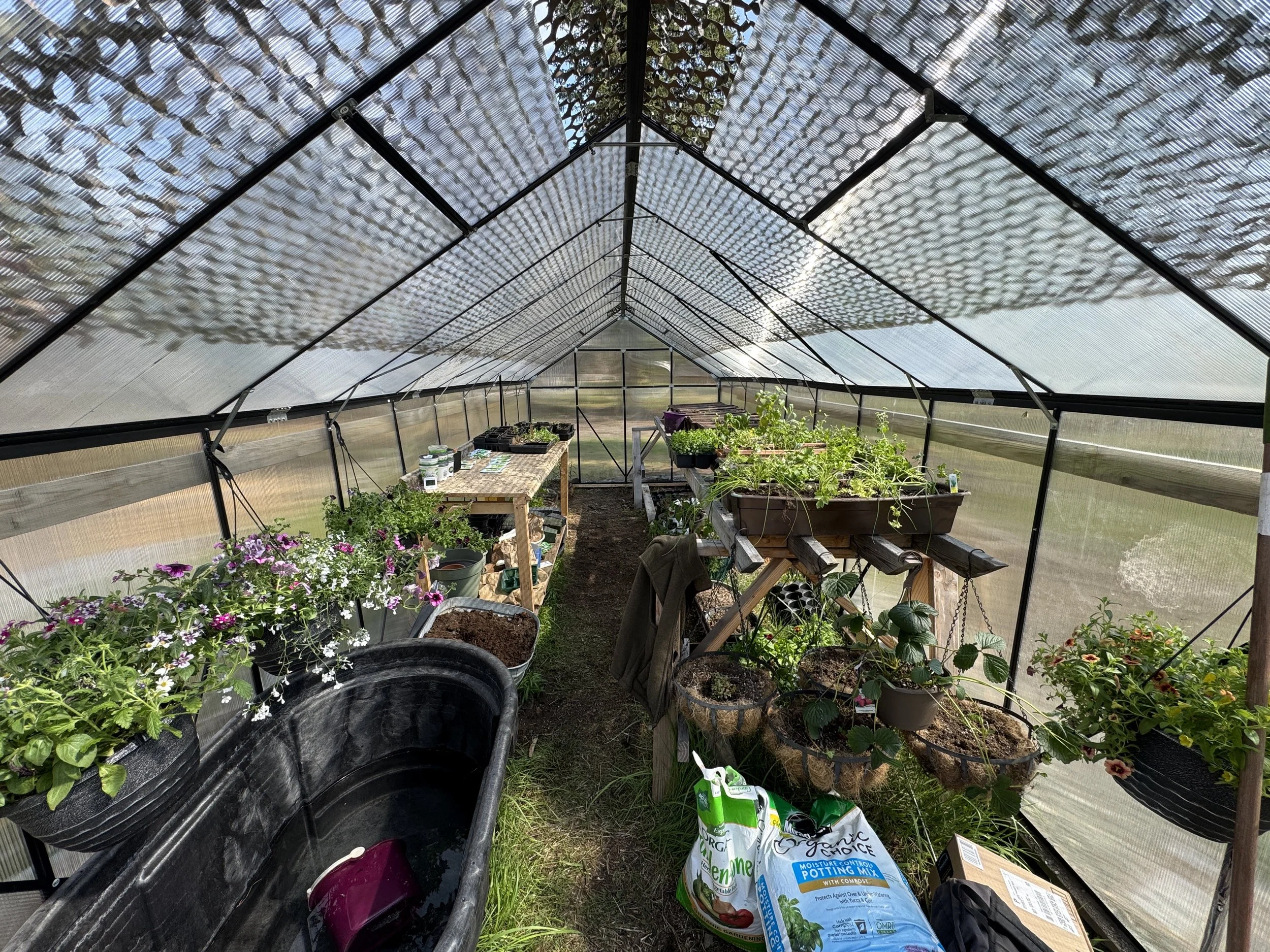 2025-06-13 15-19-08.jpeg