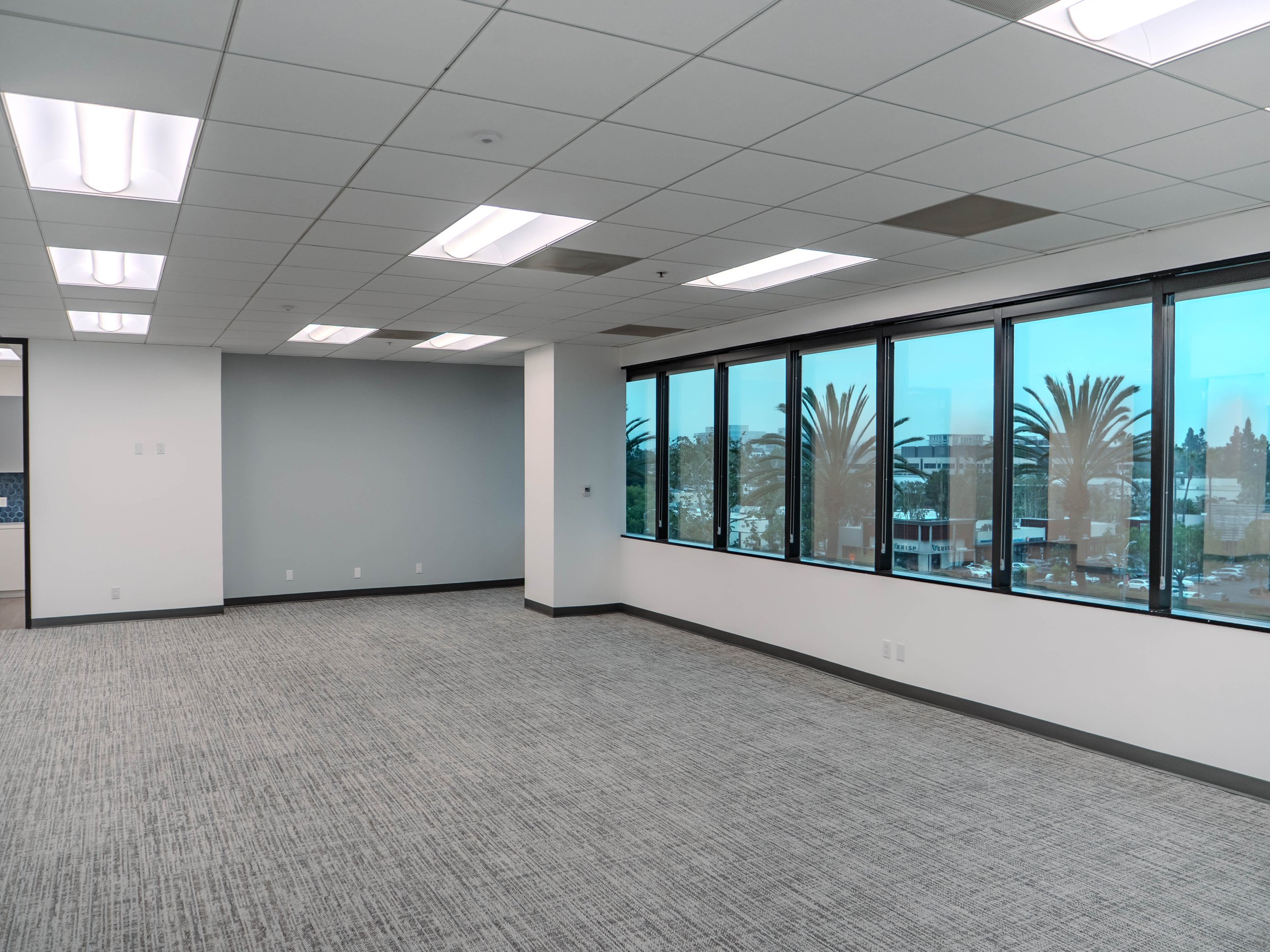 Empty office space with large windows, gray carpet, white walls, and fluorescent ceiling lights.