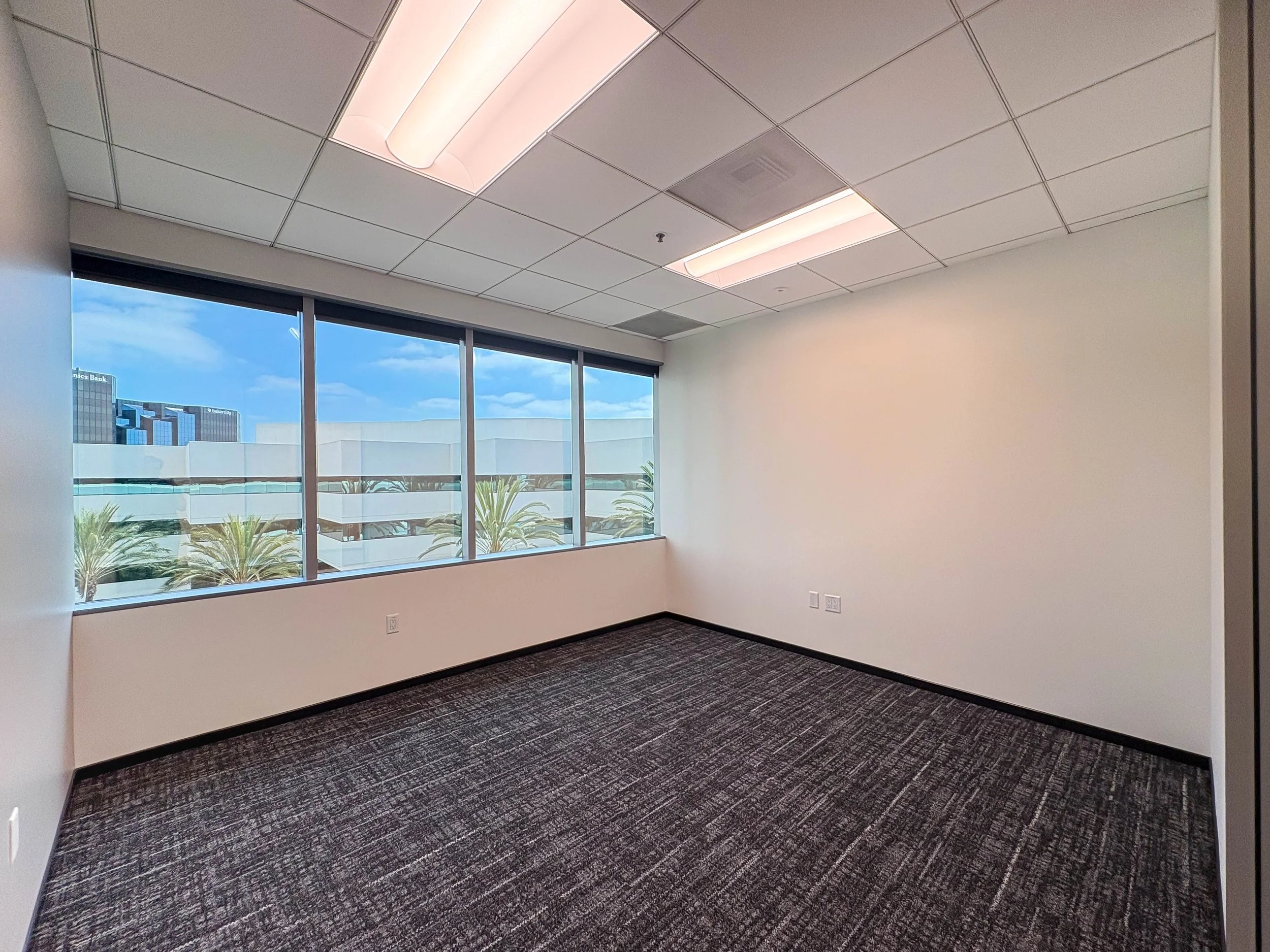 Empty office room with large window, cityscape view, palm trees, ceiling lights, and carpeted floor.