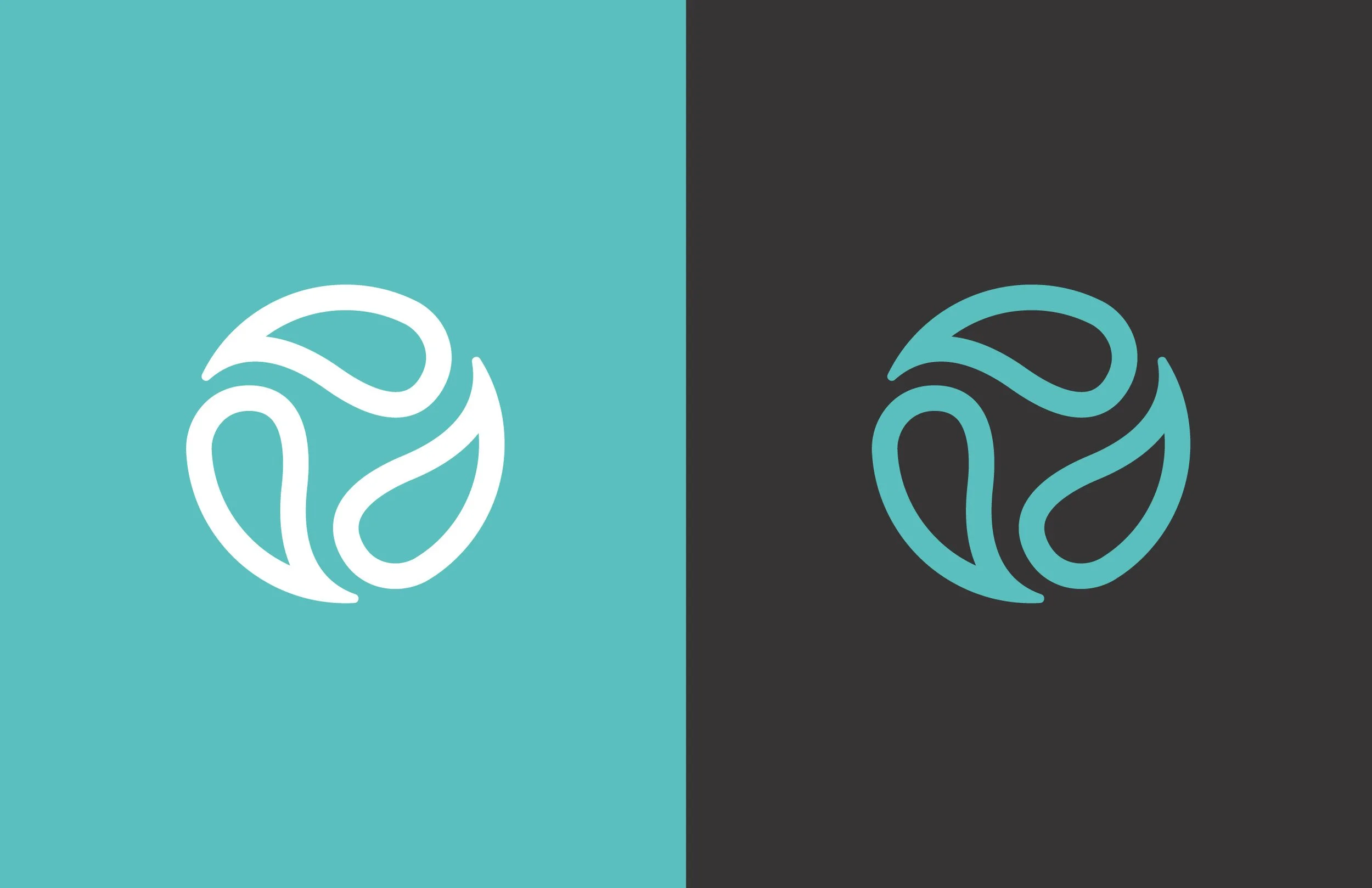 A logo with a circular design composed of curving lines, depicted in white on a light teal background on the left side and in teal on a dark gray background on the right side.