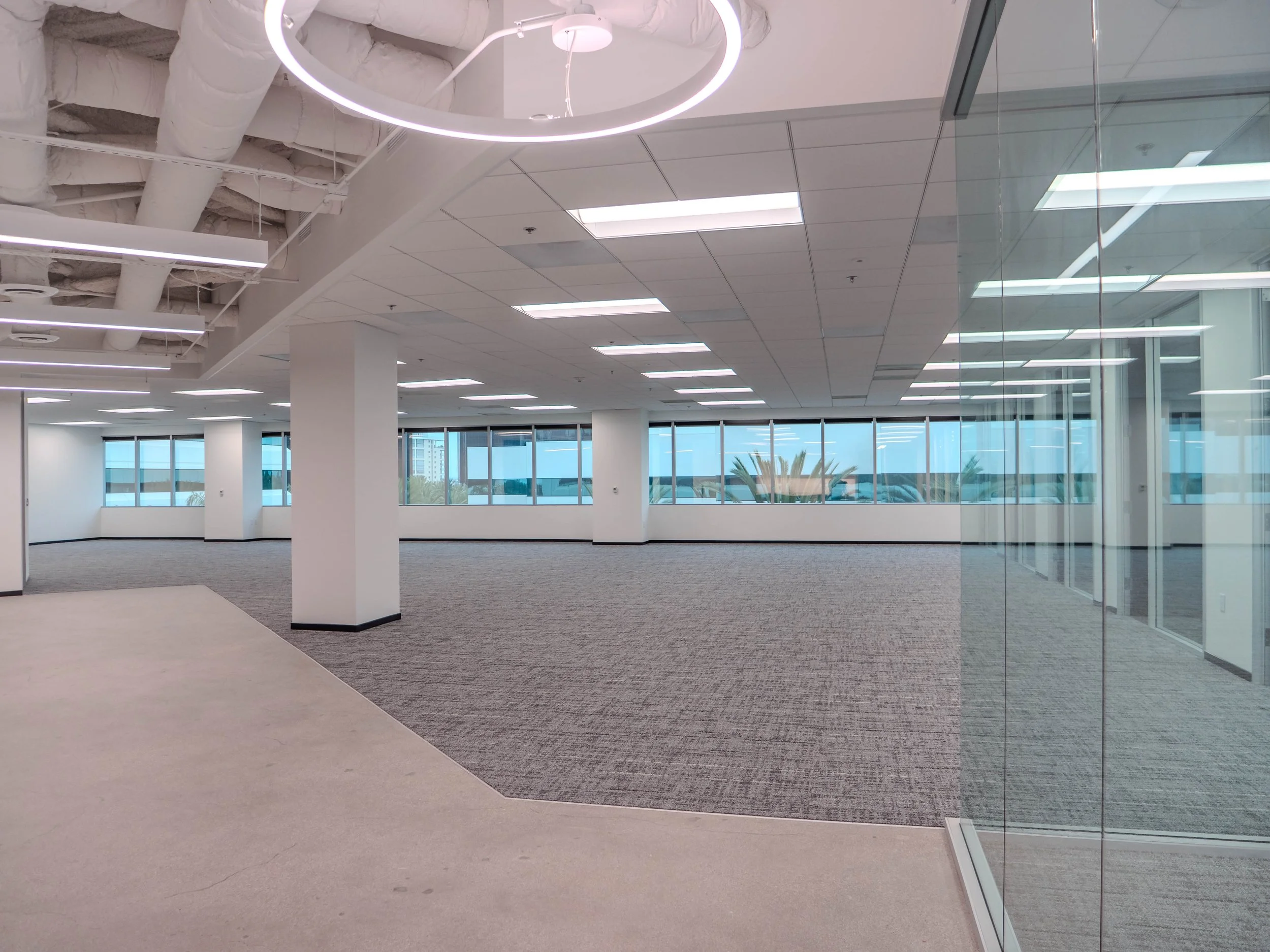 Empty modern office space with large windows, white walls, carpeting, and glass partitions.