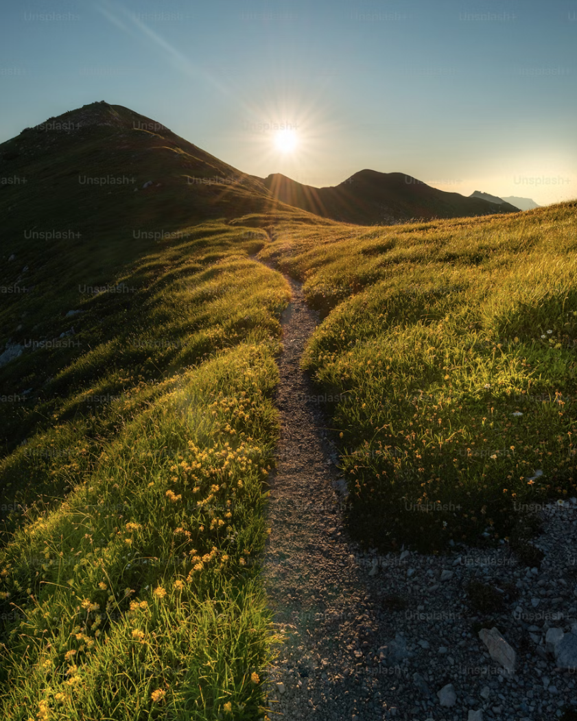 A narrow mountain trail winding through green grassy meadows with yellow flowers, leading up to a silhouetted mountain under a bright sun in a clear sky.