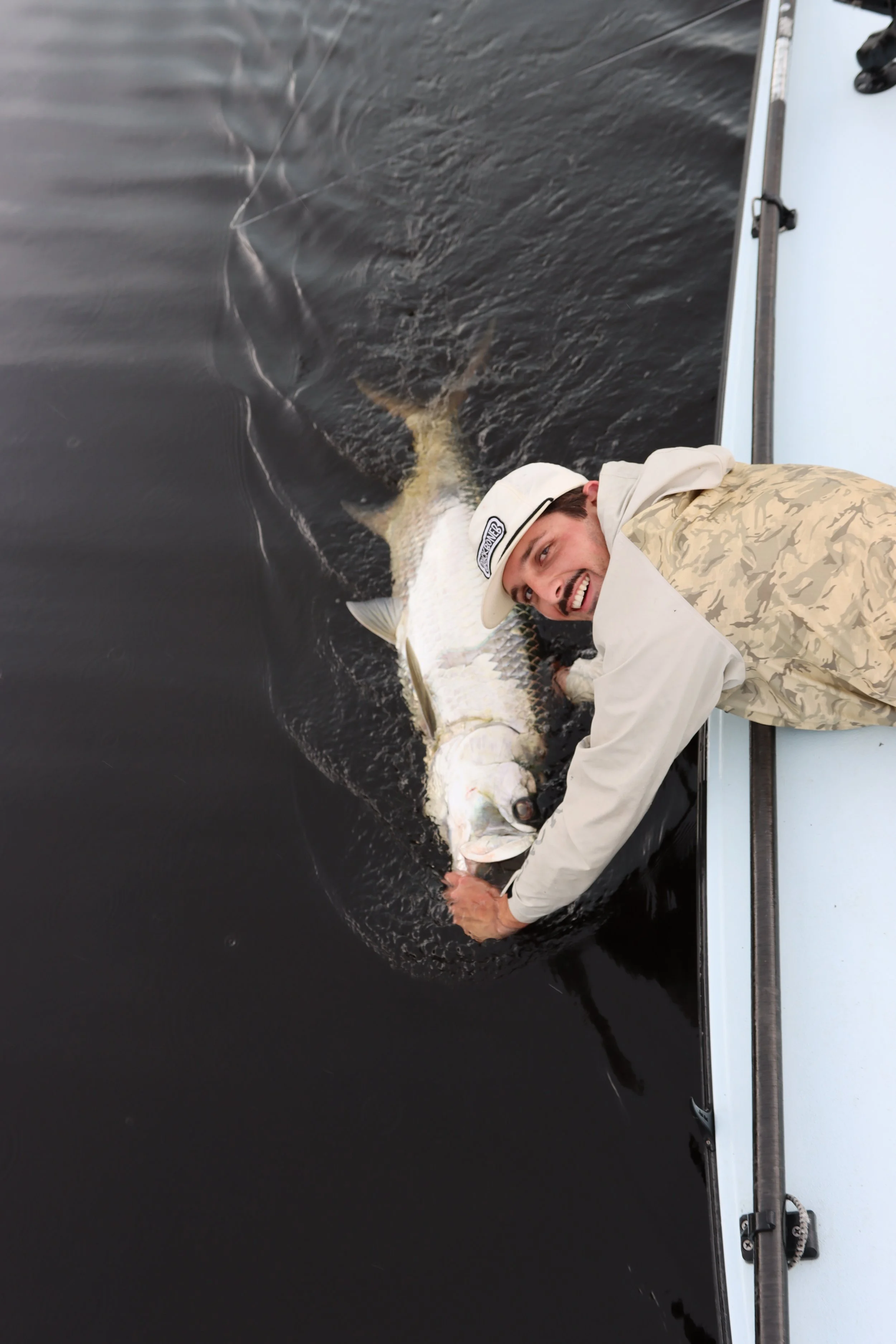 Big Tarpon on Fly in The Tannic Waters of the Everglades