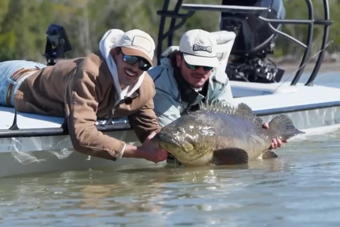 Fly Fishing goliath Grouper