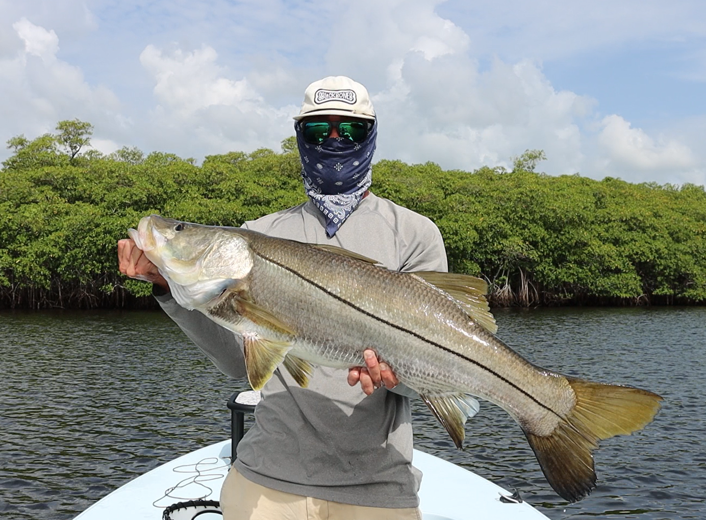 Person standing on a boat holding a large striped bass fish with green trees and a cloudy sky in the background.