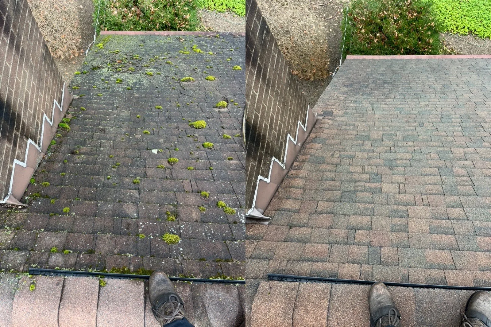 Roof Restoration vs. Full Reroof: What's the Real Cost Difference?
