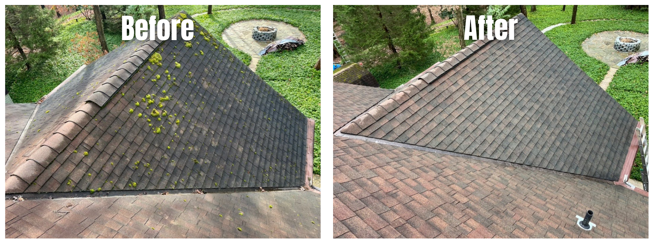 Comparison of a roof before and after cleaning. The 'Before' side shows moss and debris on the dark-colored roof shingles, while the 'After' side shows a clean, moss-free roof with cleaner shingles.