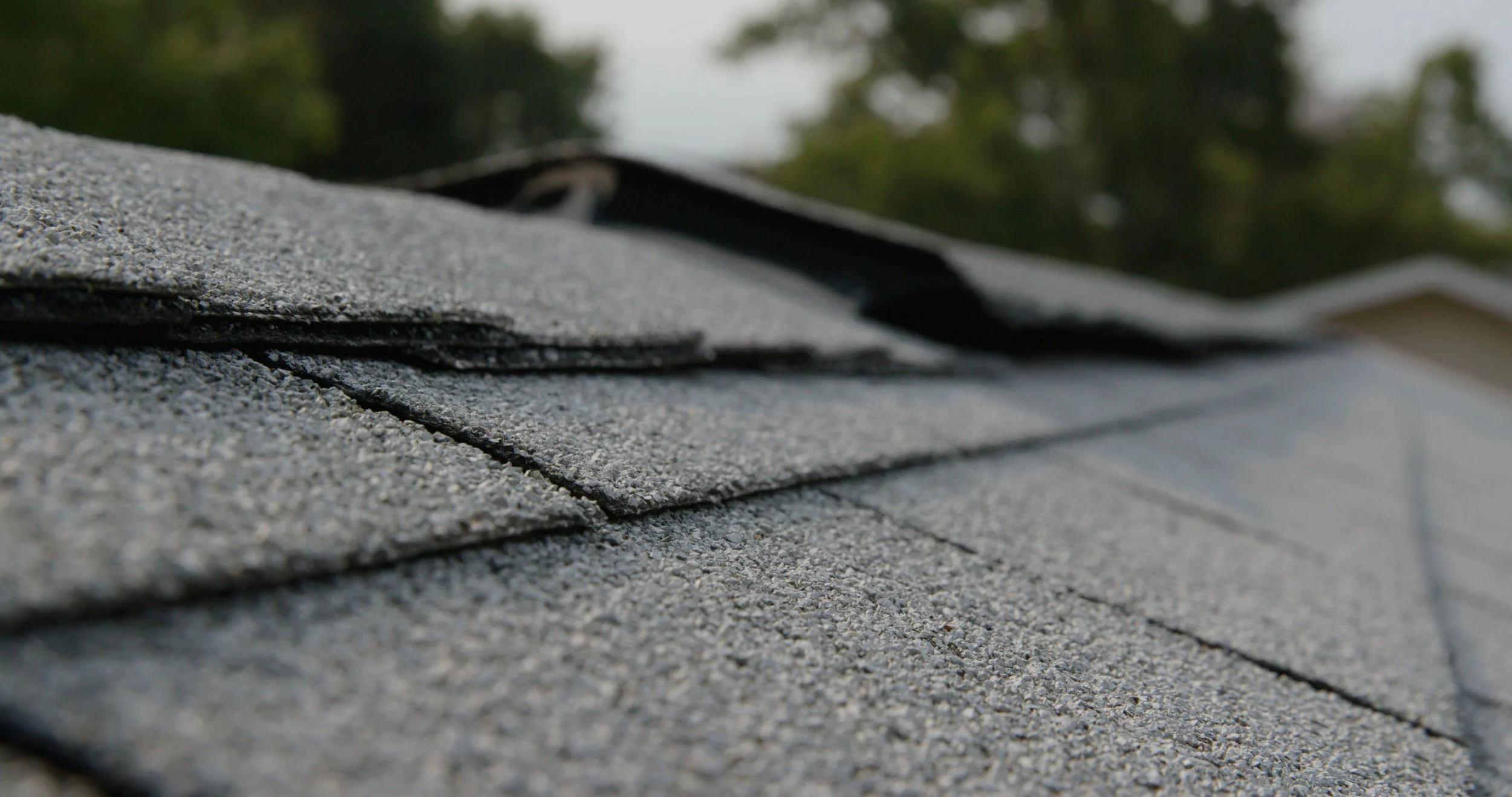 Close-up of a roof with gray asphalt shingles, with trees and sky in the background.