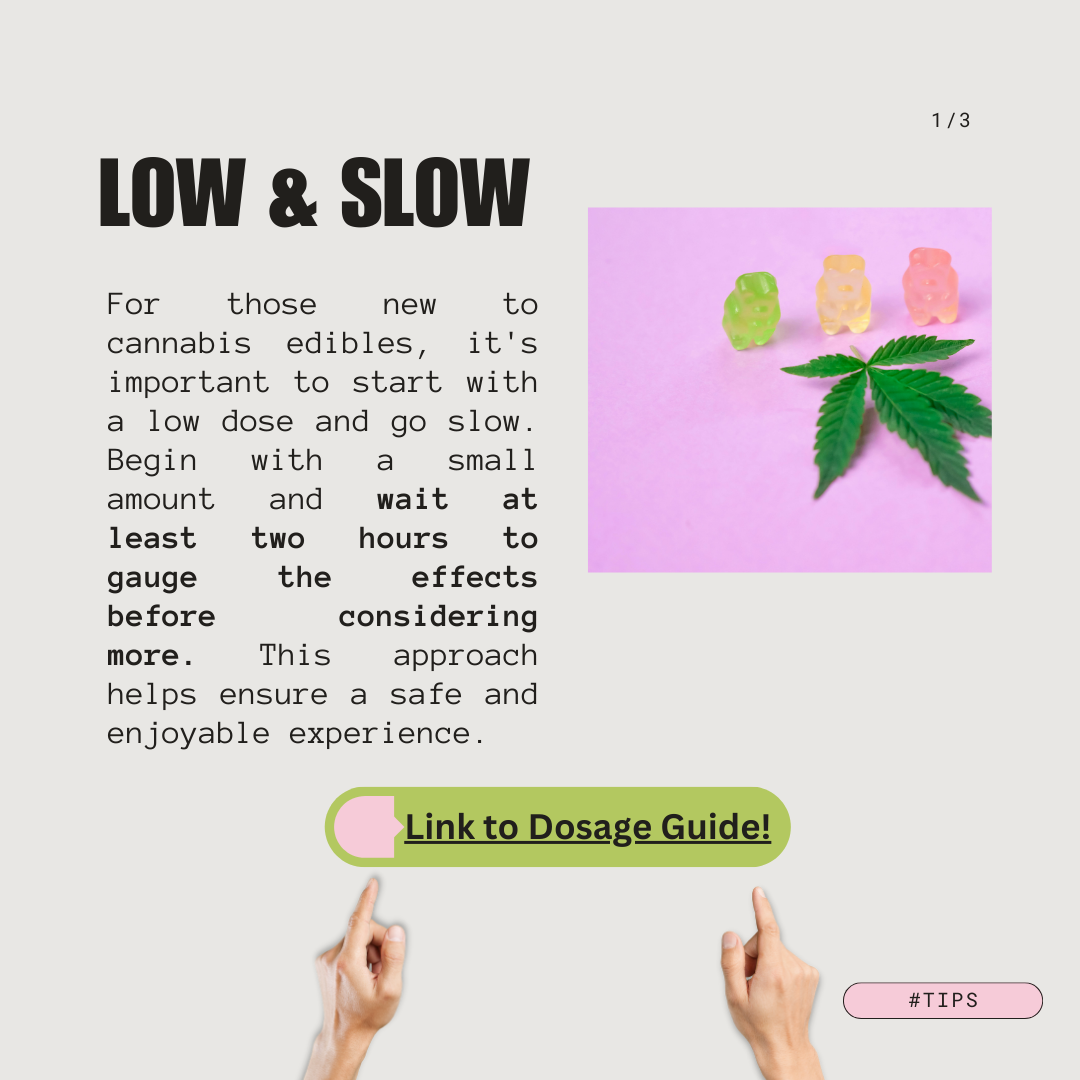 Beginners guide to edibles02 .png