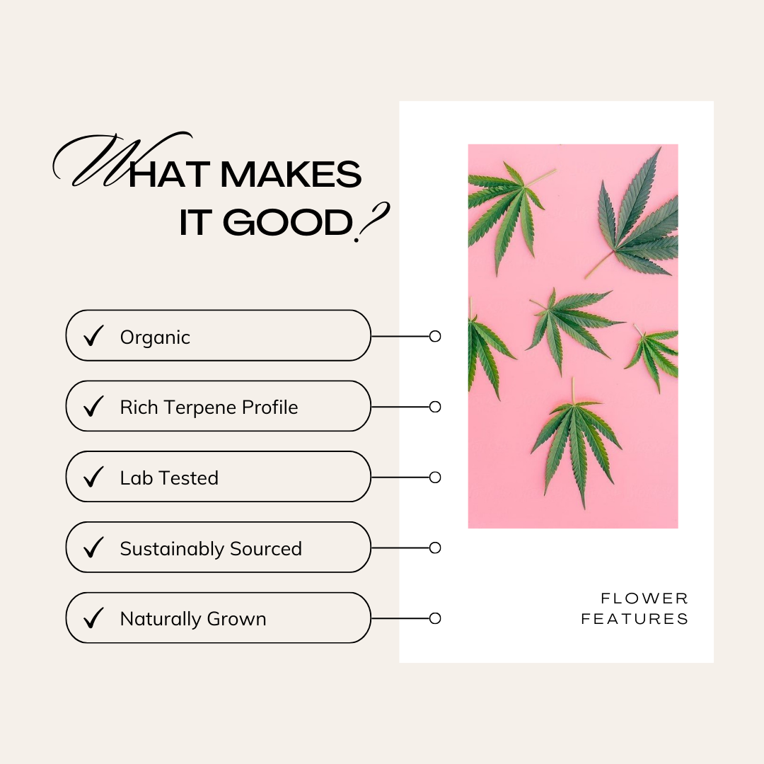 Product Features FD png.png