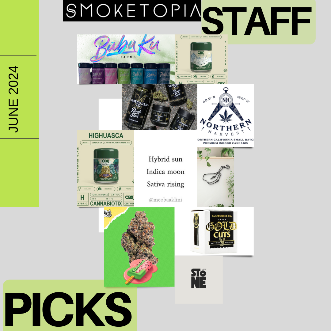 this months picks  (Instagram Post).png