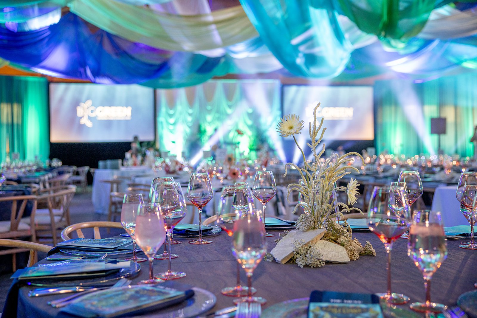 20250719_BigGreenGlamourBall-0170.jpg