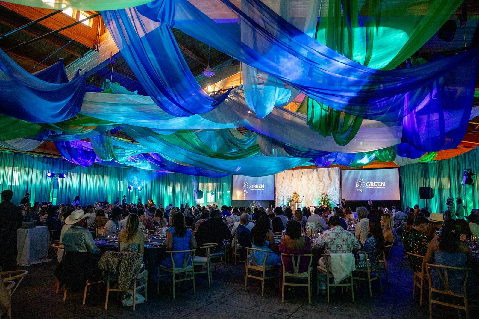 20250719_BigGreenGlamourBall-0473.jpg