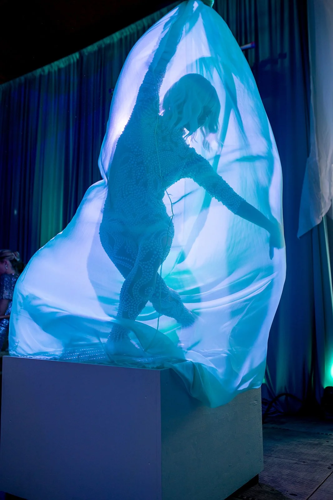 20250719_BigGreenGlamourBall-0449.jpg