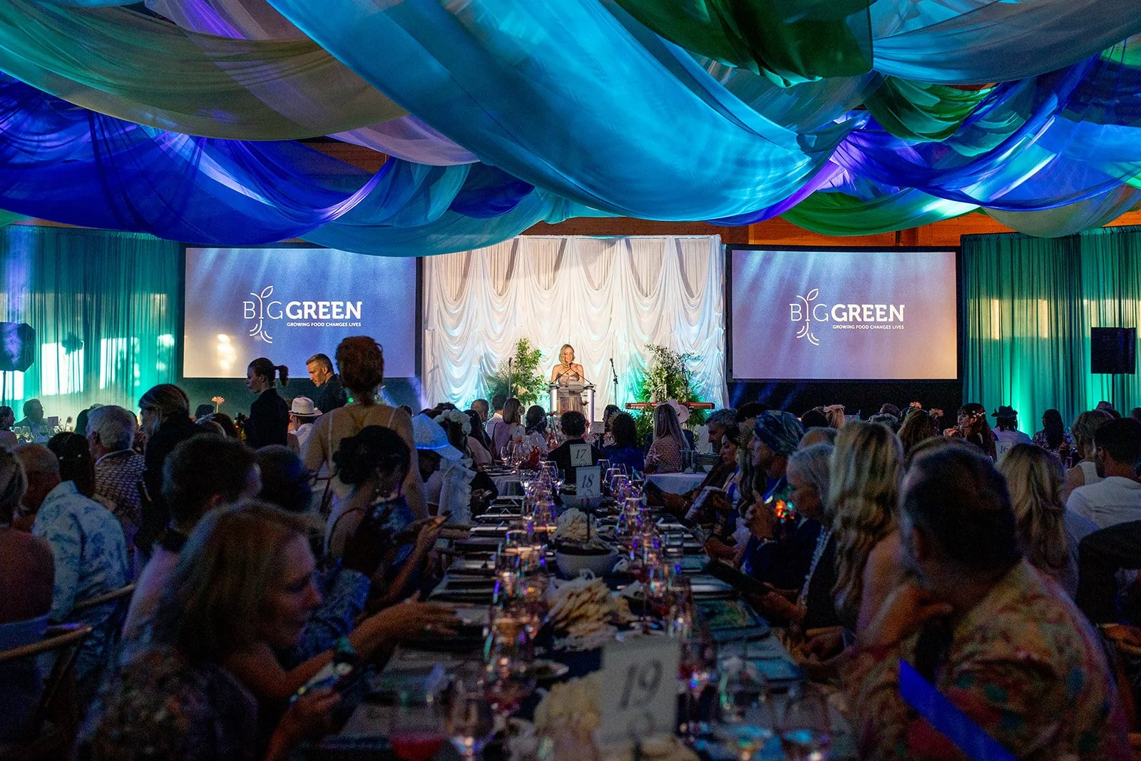 20250719_BigGreenGlamourBall-0463.jpg