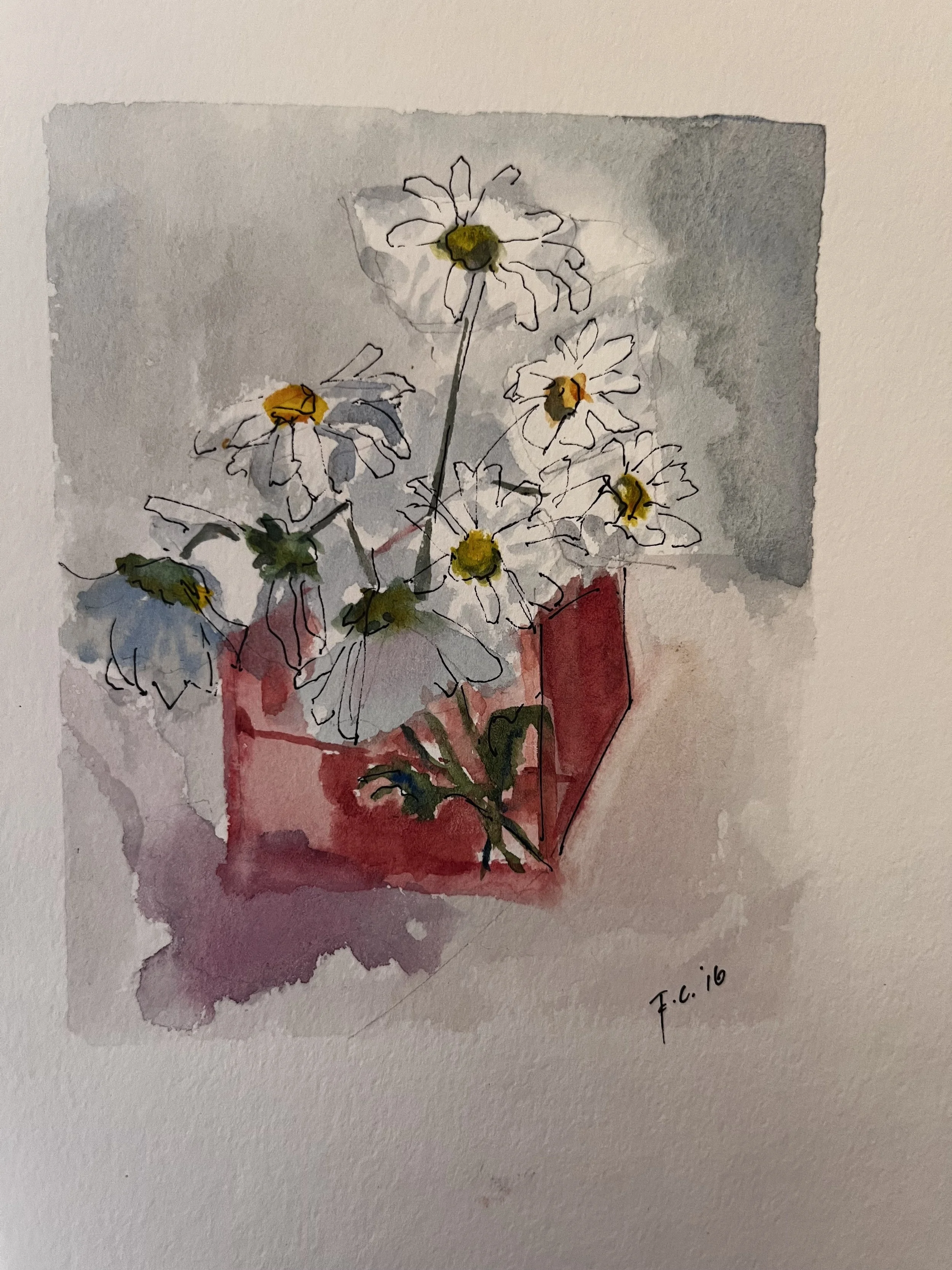 Daisies for Daisy