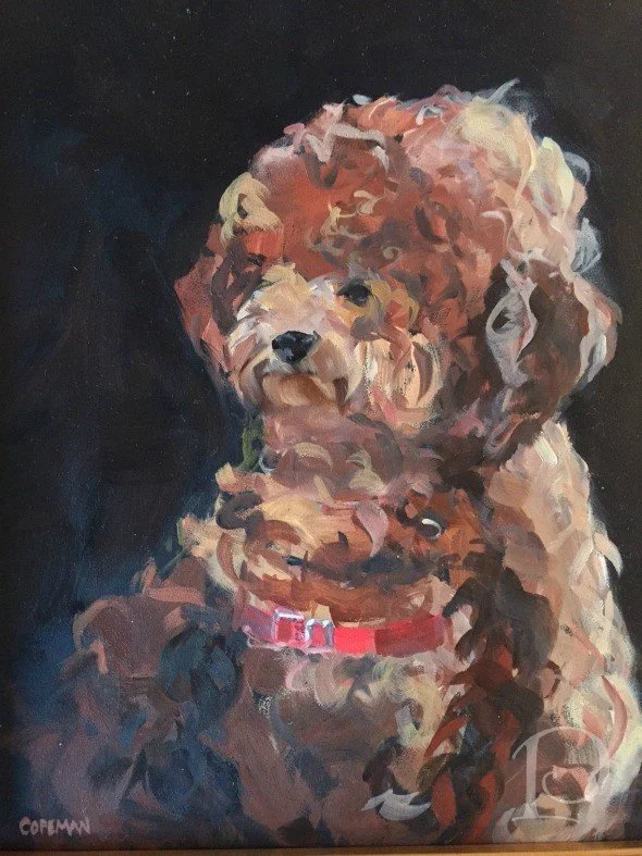 SOLD. "Finnigan"