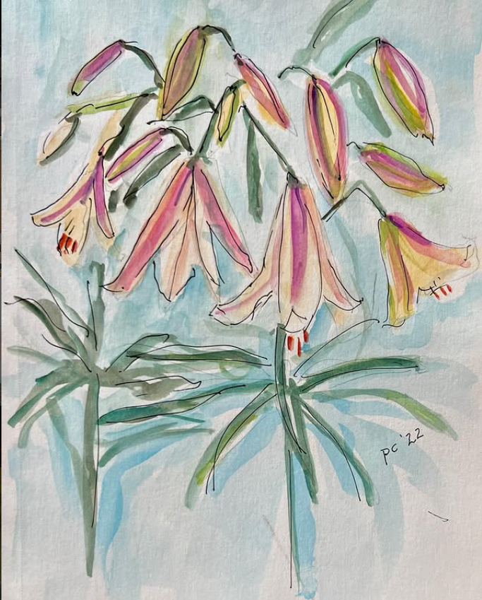 Lilies from a Friend's Garden