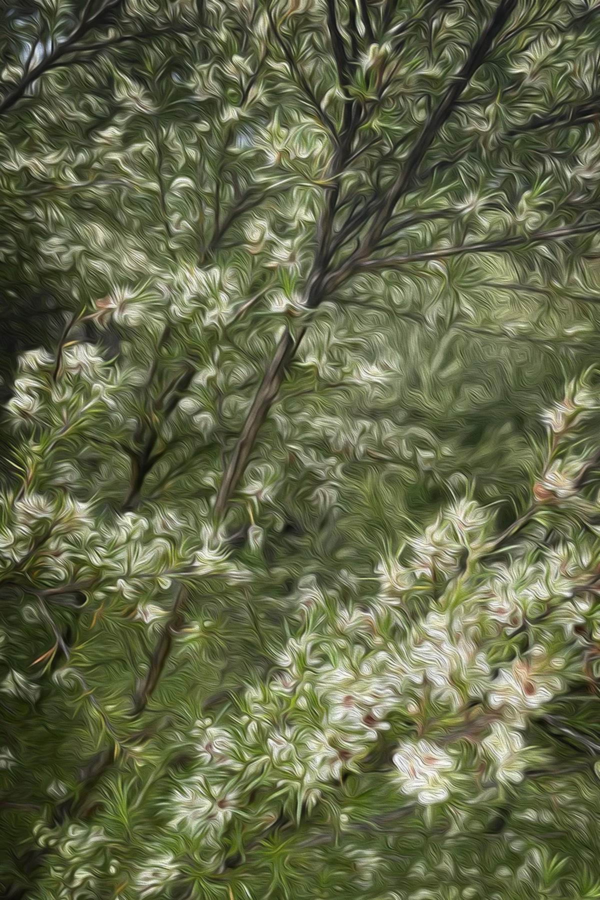 Close-up of green leaves and branches with a stylized, swirling filter.