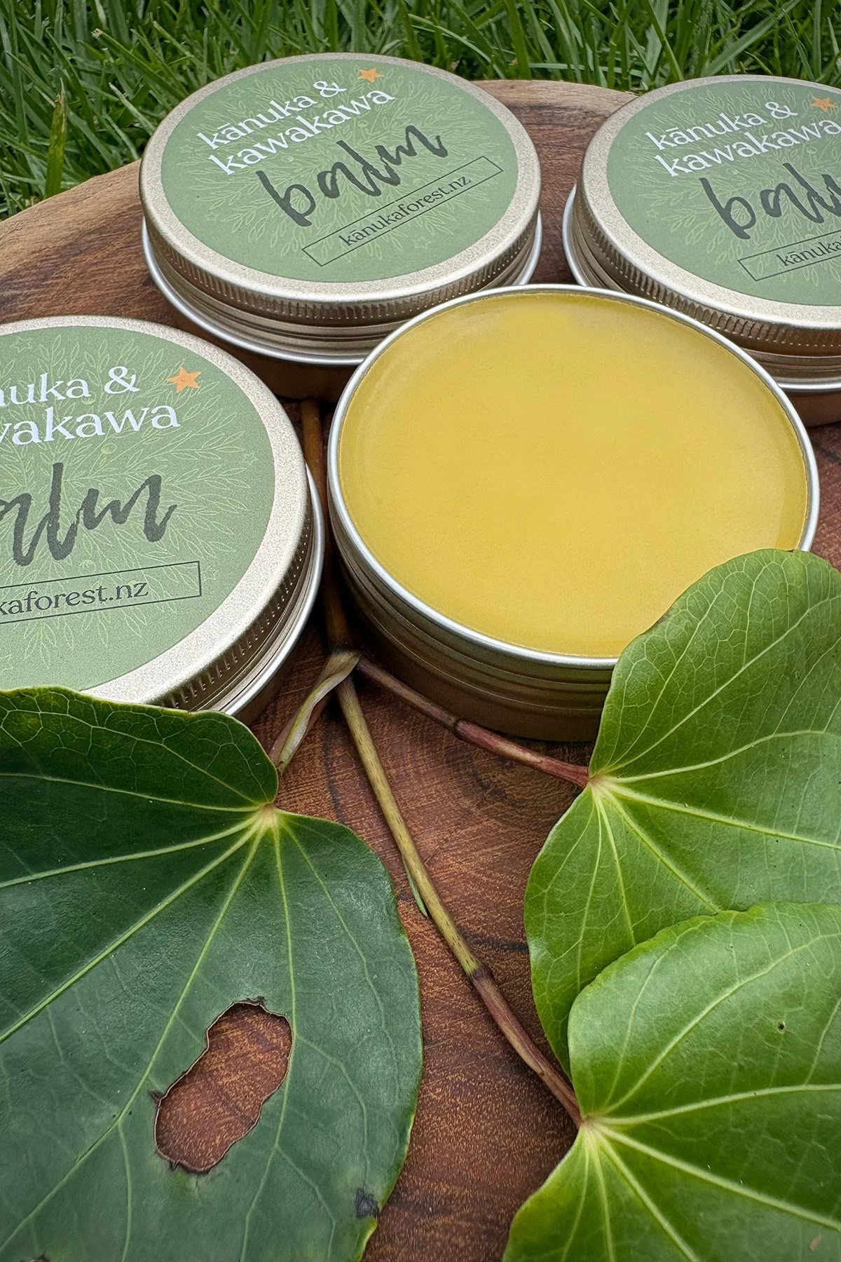 kānuka & kawakawa balm