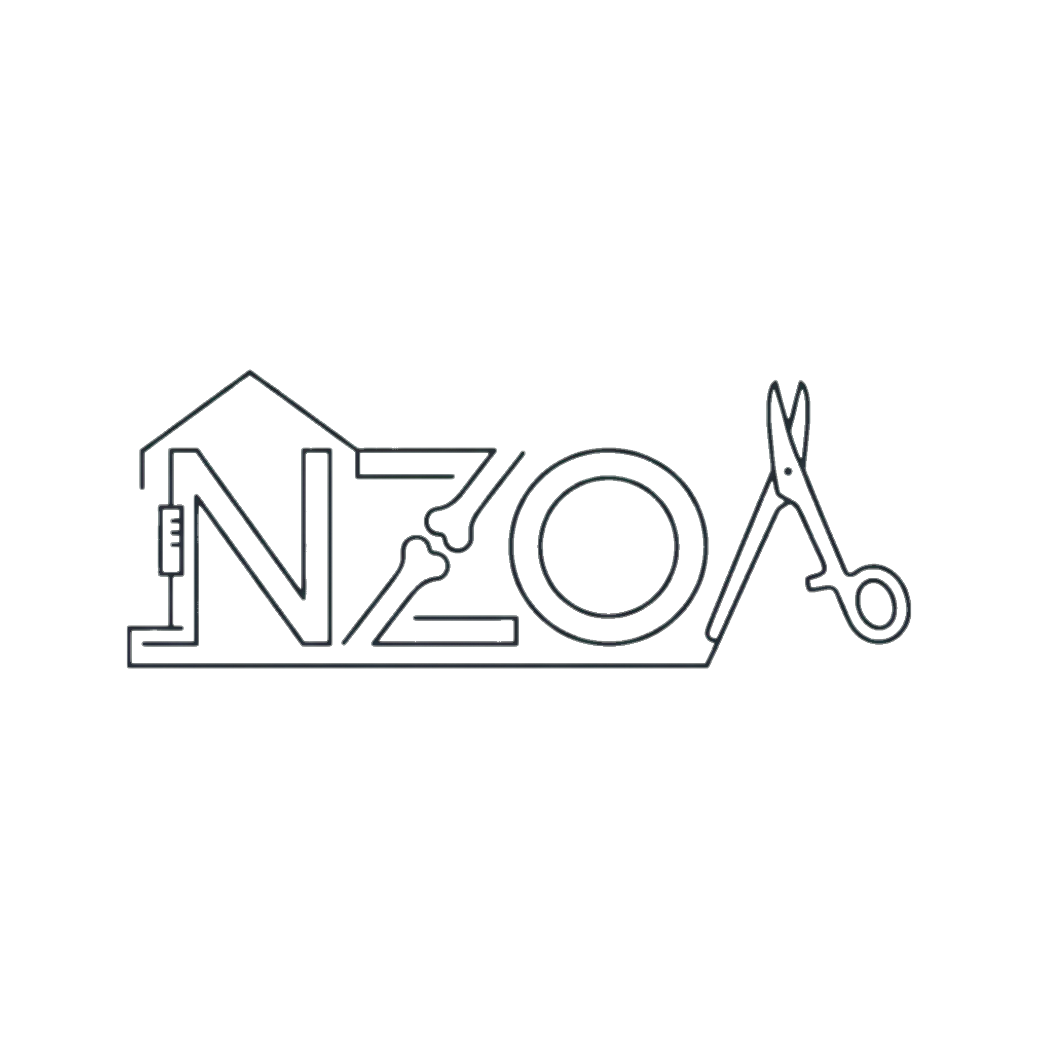 New Zealand Orthopaedic Association (Copy) (Copy)