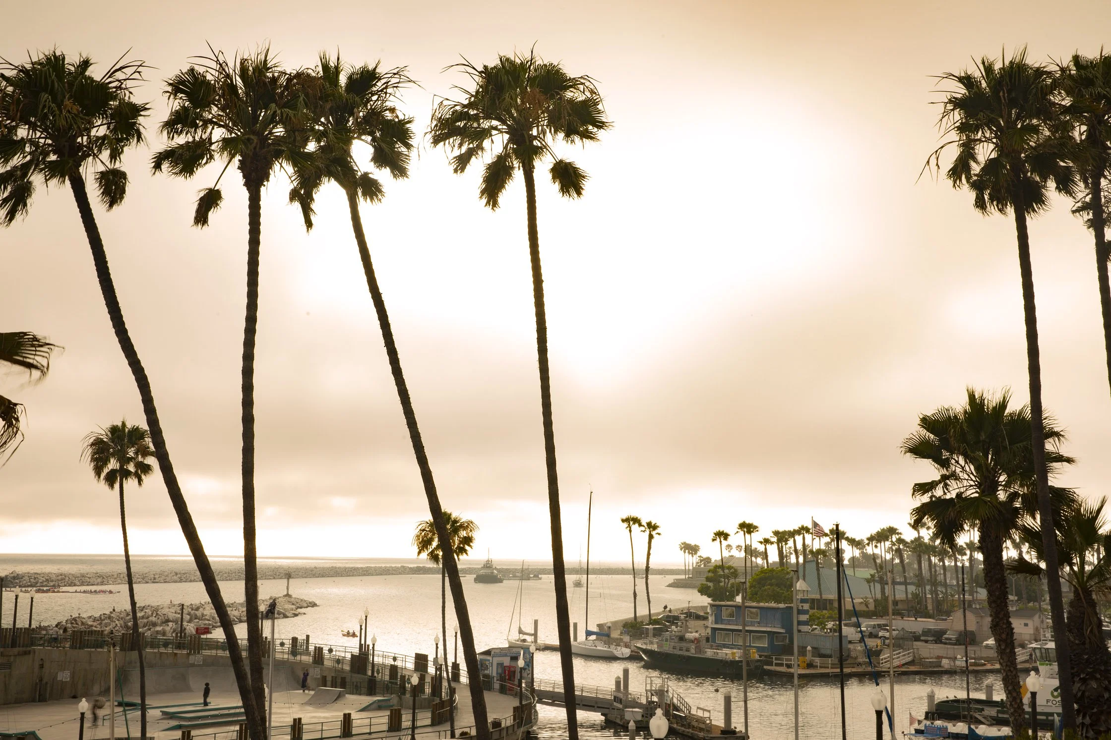Sunset over a marina with tall palm trees, boats docked in the water, and buildings along the shore.