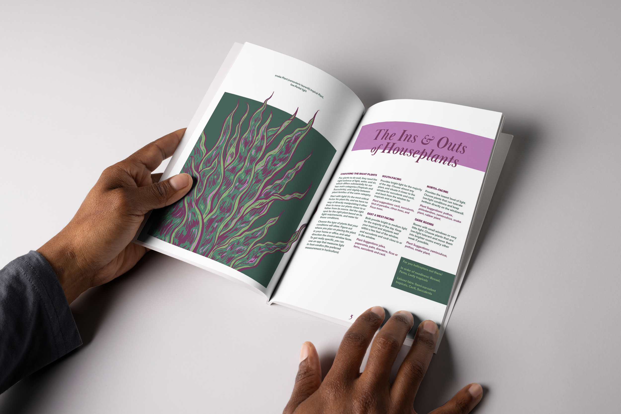 Plant Primer: Instructional Book Design