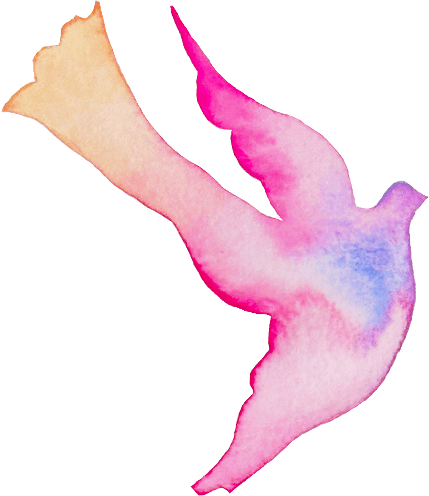Birdie's Flight for a KDM5C Cure | Support KDM5C Research Today