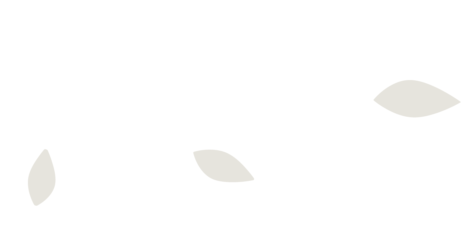 Branding: White Leaves