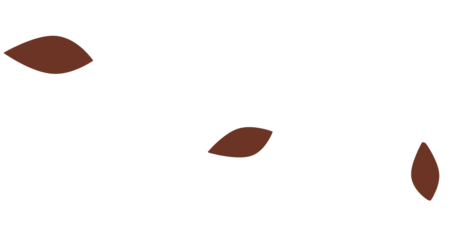 Branding: Red Leaves