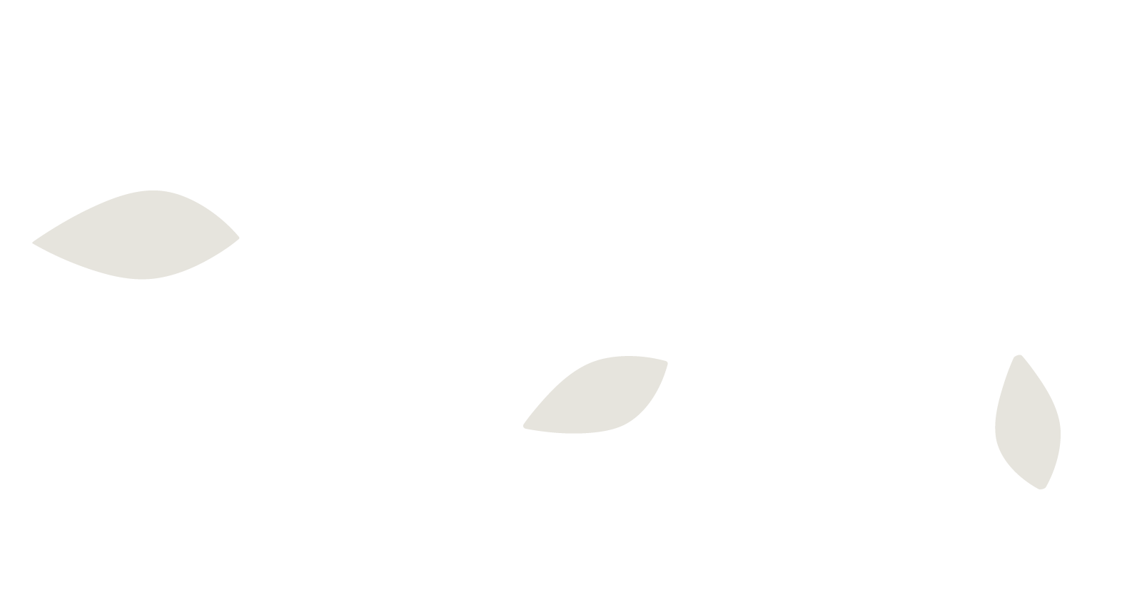 Branding: White Leaves