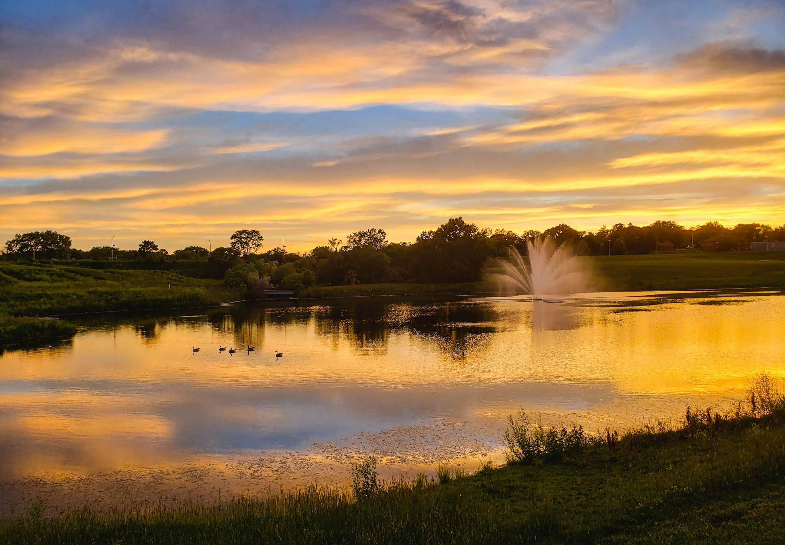 A peaceful lake during sunset with a fountain in the background and ducks swimming in the water, reflecting a colorful sky.