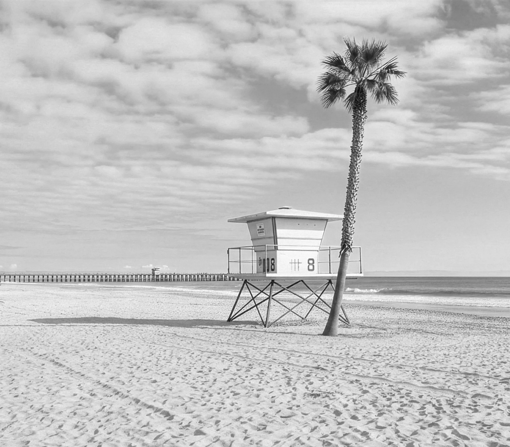 A black and white photo of a sandy beach with a lone palm tree leaning to the right. A lifeguard tower is situated on stilts near the water, with a long pier extending into the ocean in the background. The sky is partly cloudy.