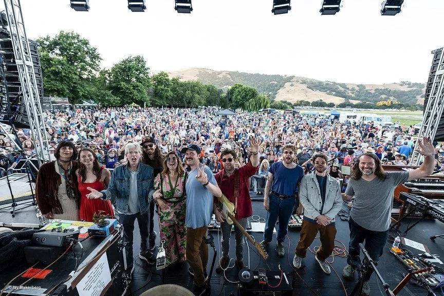 A Sunday Daydream festival crowd in the park