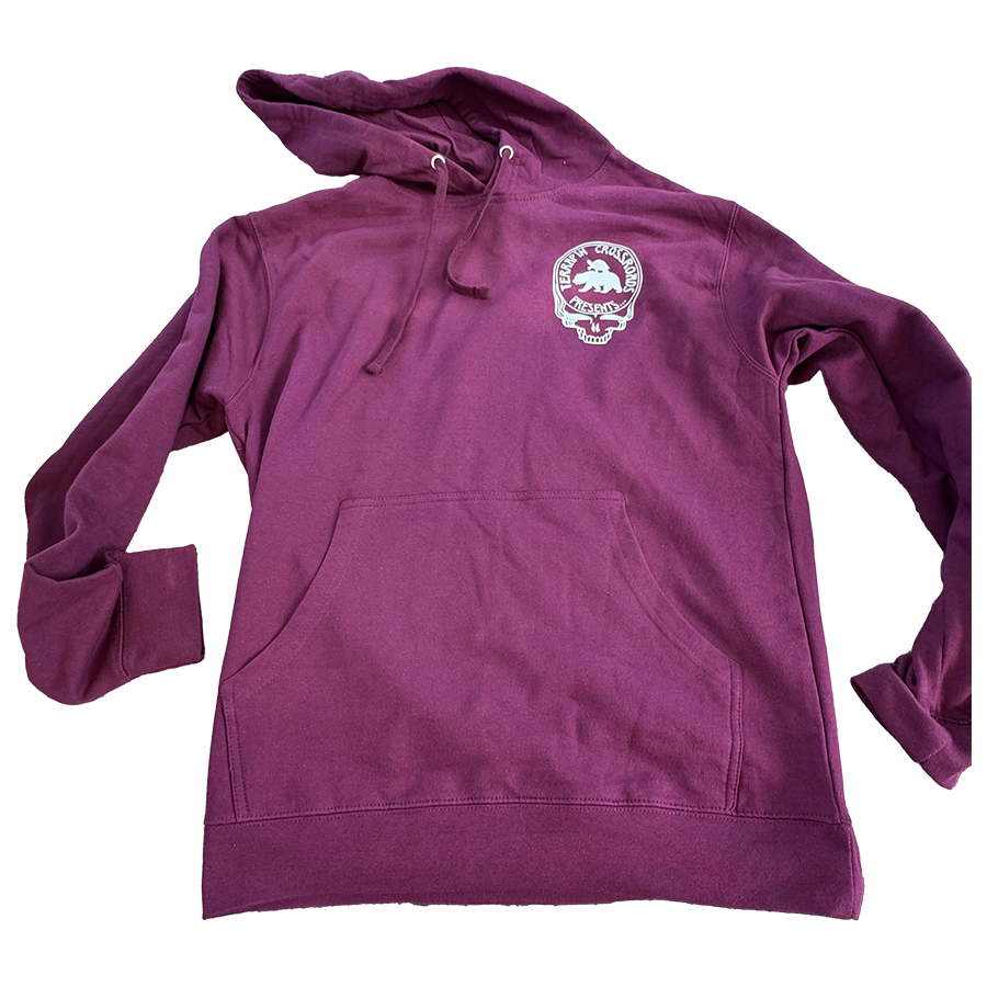 compass pullover hoodie front.png