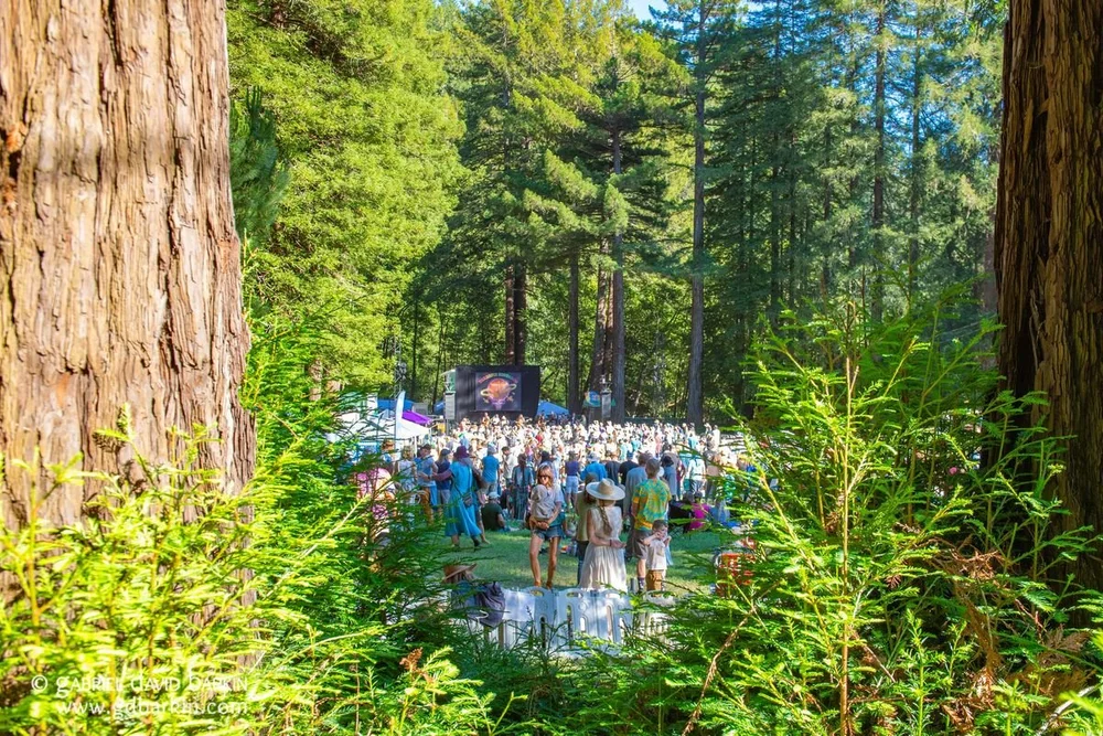 The crowd framed by redwoods at Monte Rio Amphitheater