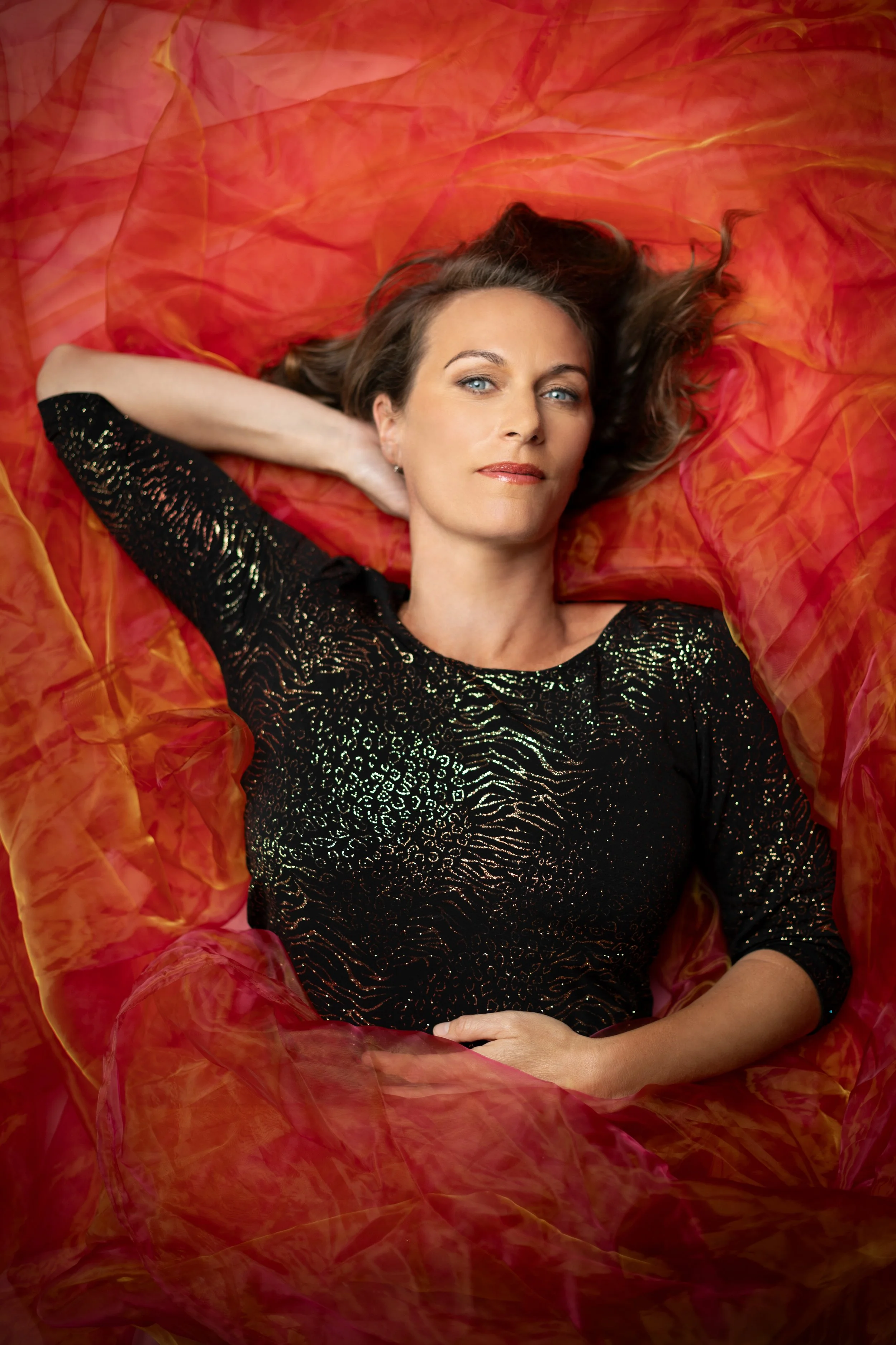 Danielle schroeder - the public donation show