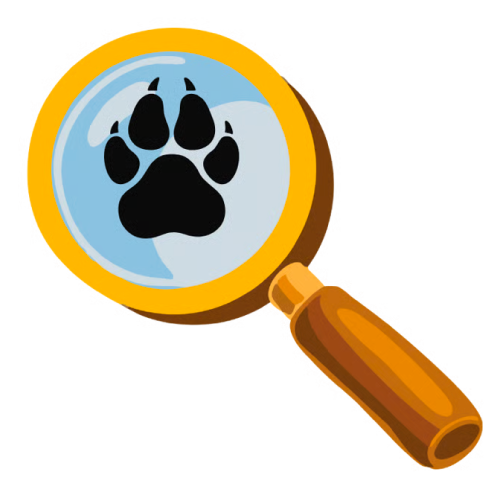 Magnifying glass focusing on a black paw print.