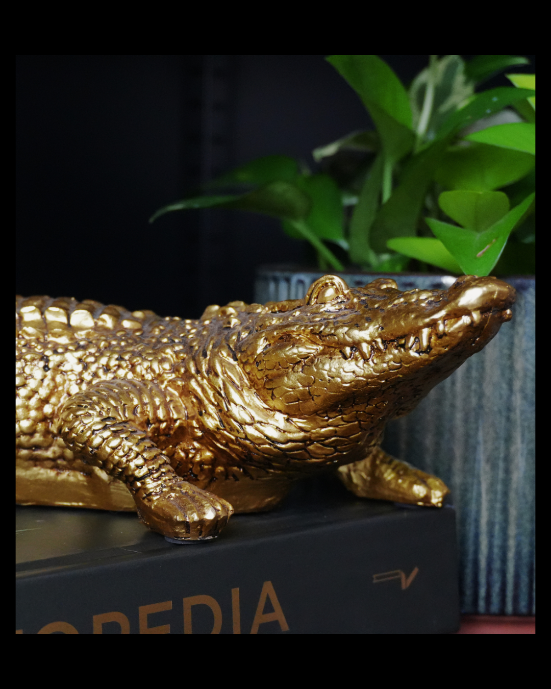Gold-painted crocodile figurine on a black surface with green plant in background.