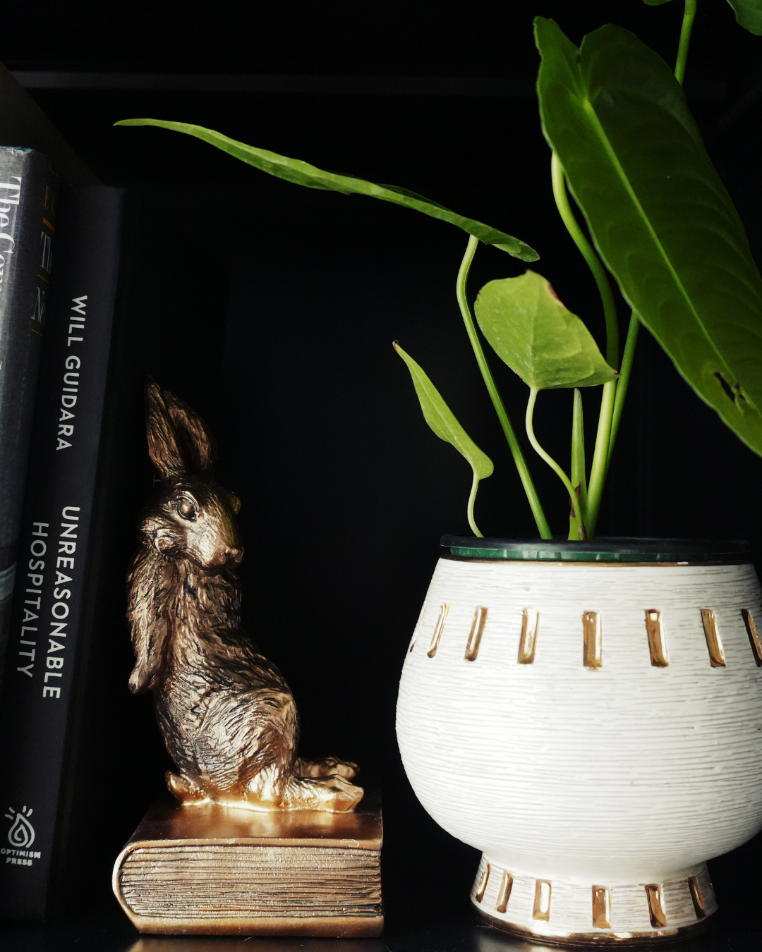 A bronze-colored dog figurine sitting on a book next to a potted plant with large green leaves and a black shelf with books in the background.