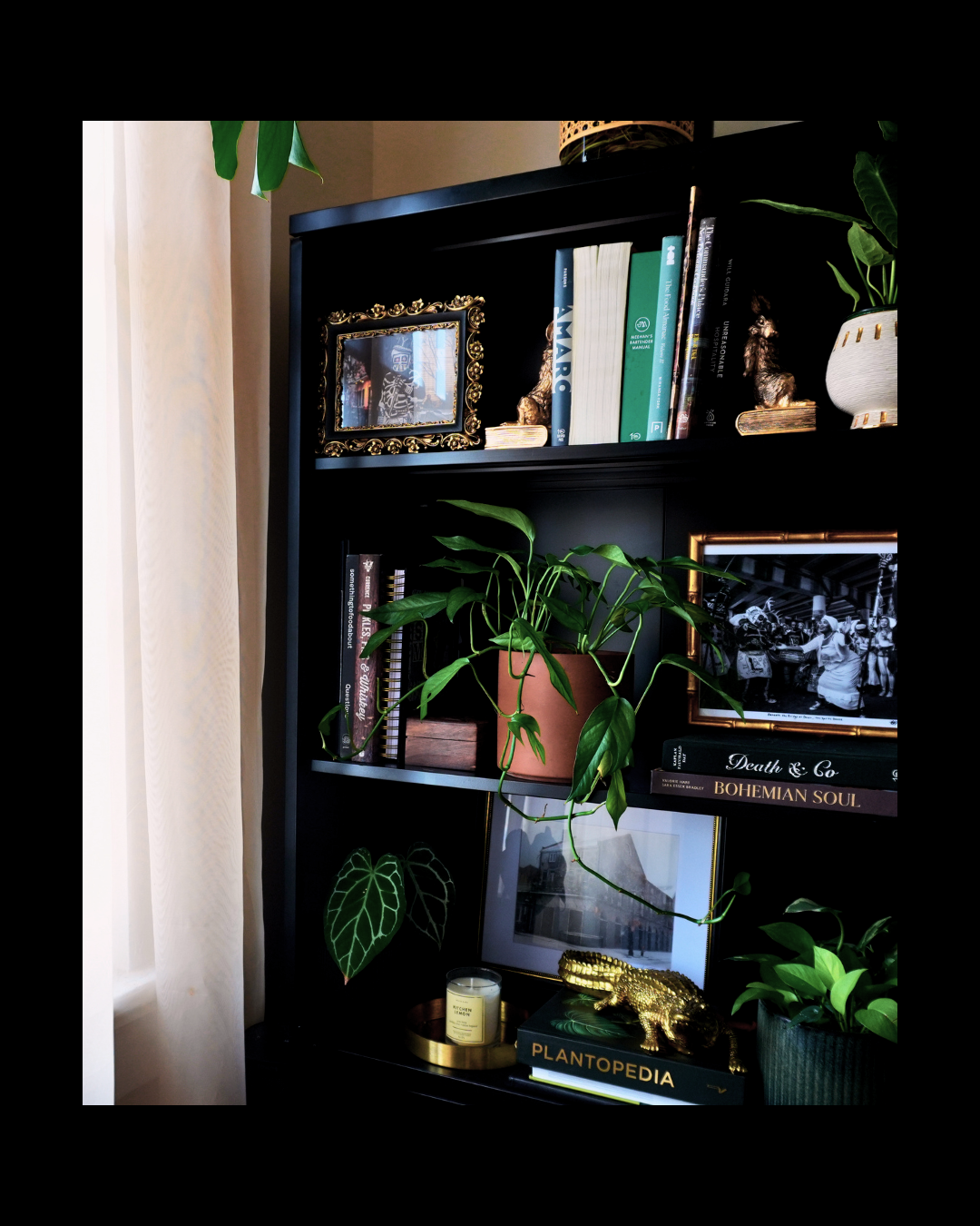 Black bookshelf with books, decorative items, and houseplants, including a framed photo, small animal figurines, and a candle, near a curtain.