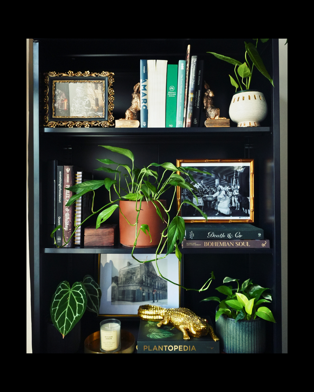 A black bookshelf with plants, framed photographs, books, and decorative objects.