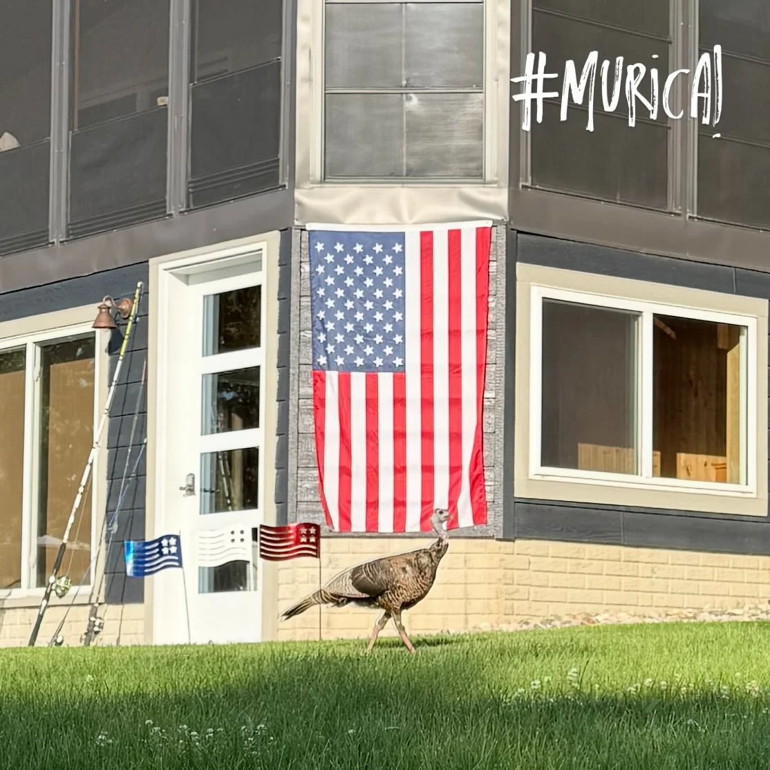 Happy 4th of July you turkeys!