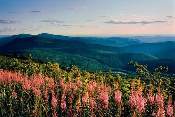Mt. Equinox Skyline Drive
