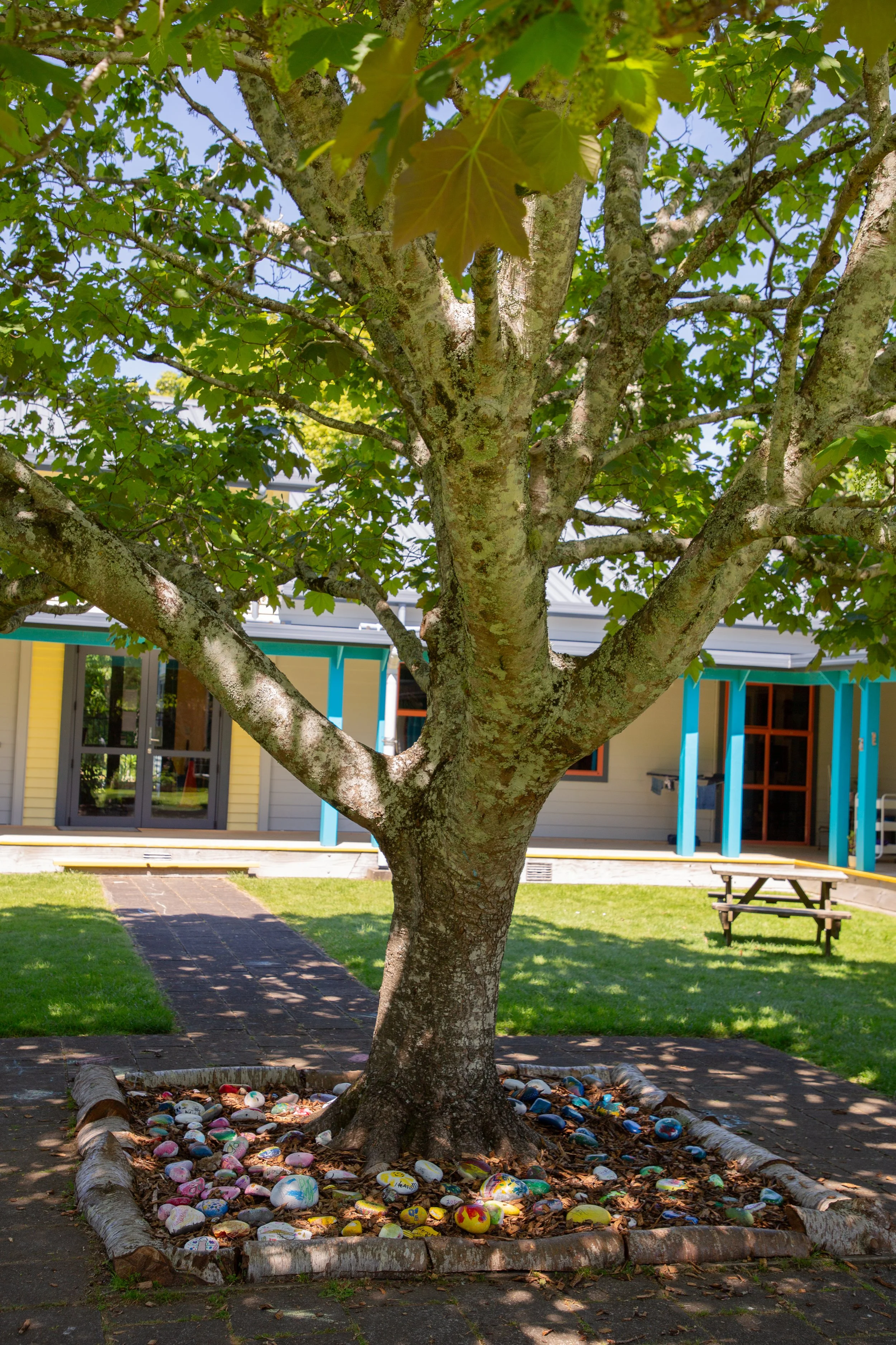 A large tree with painted rocks around its base, located in a yard with a pathway and a house in the background.