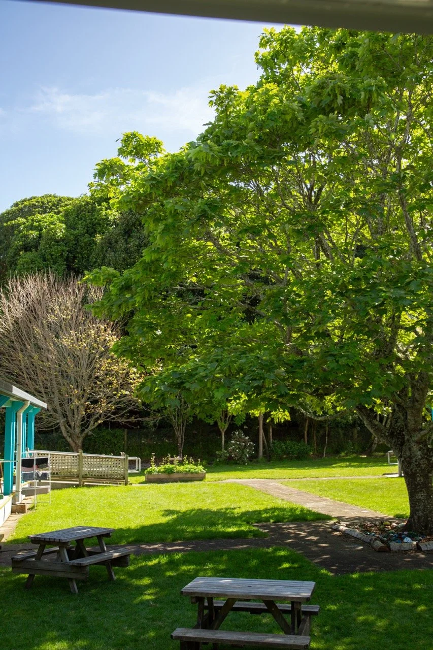 A backyard scene with green grass, trees, a sidewalk, and a blue house with benches and garden beds.