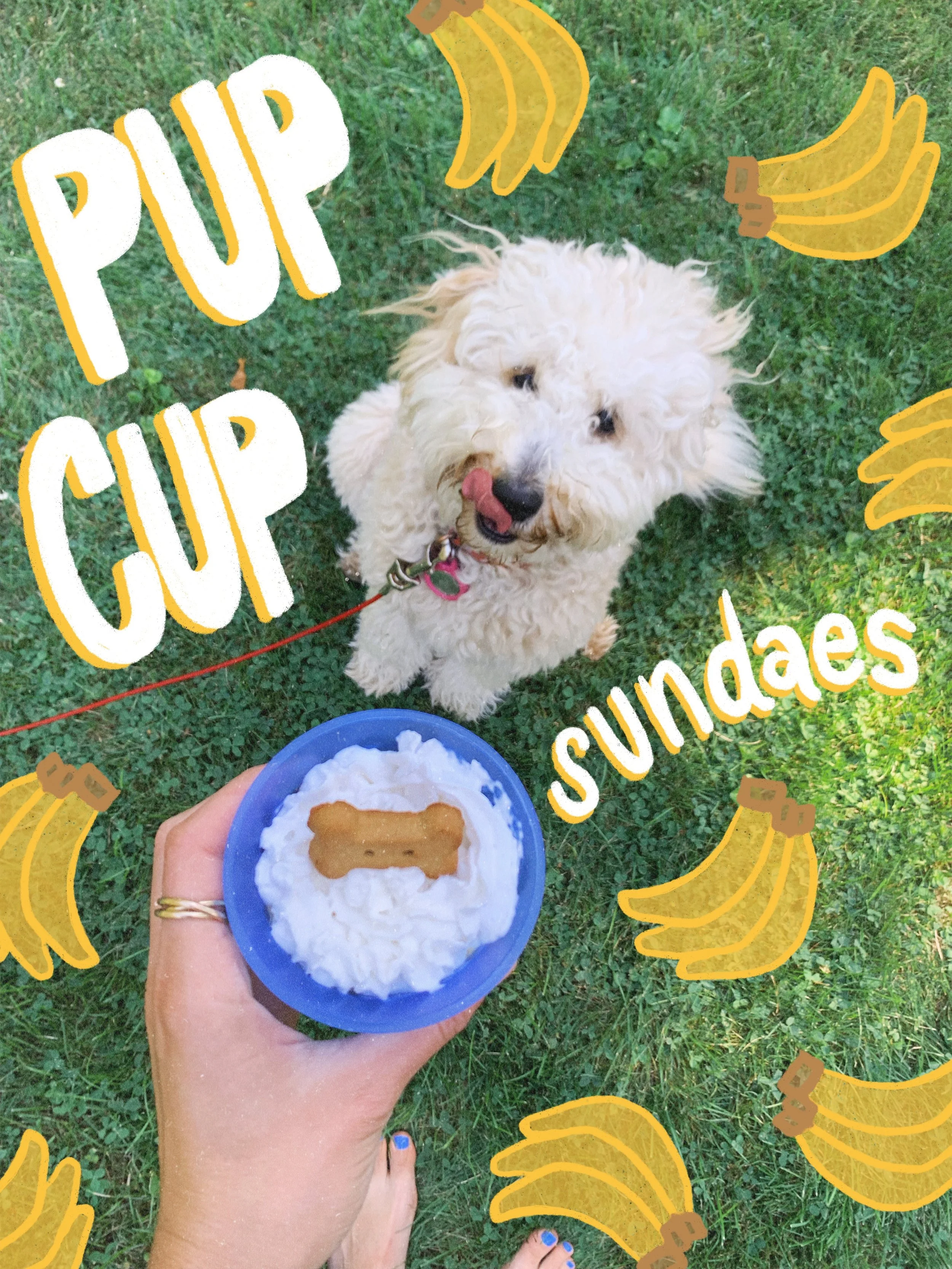 AfterlightImage 1.jpg