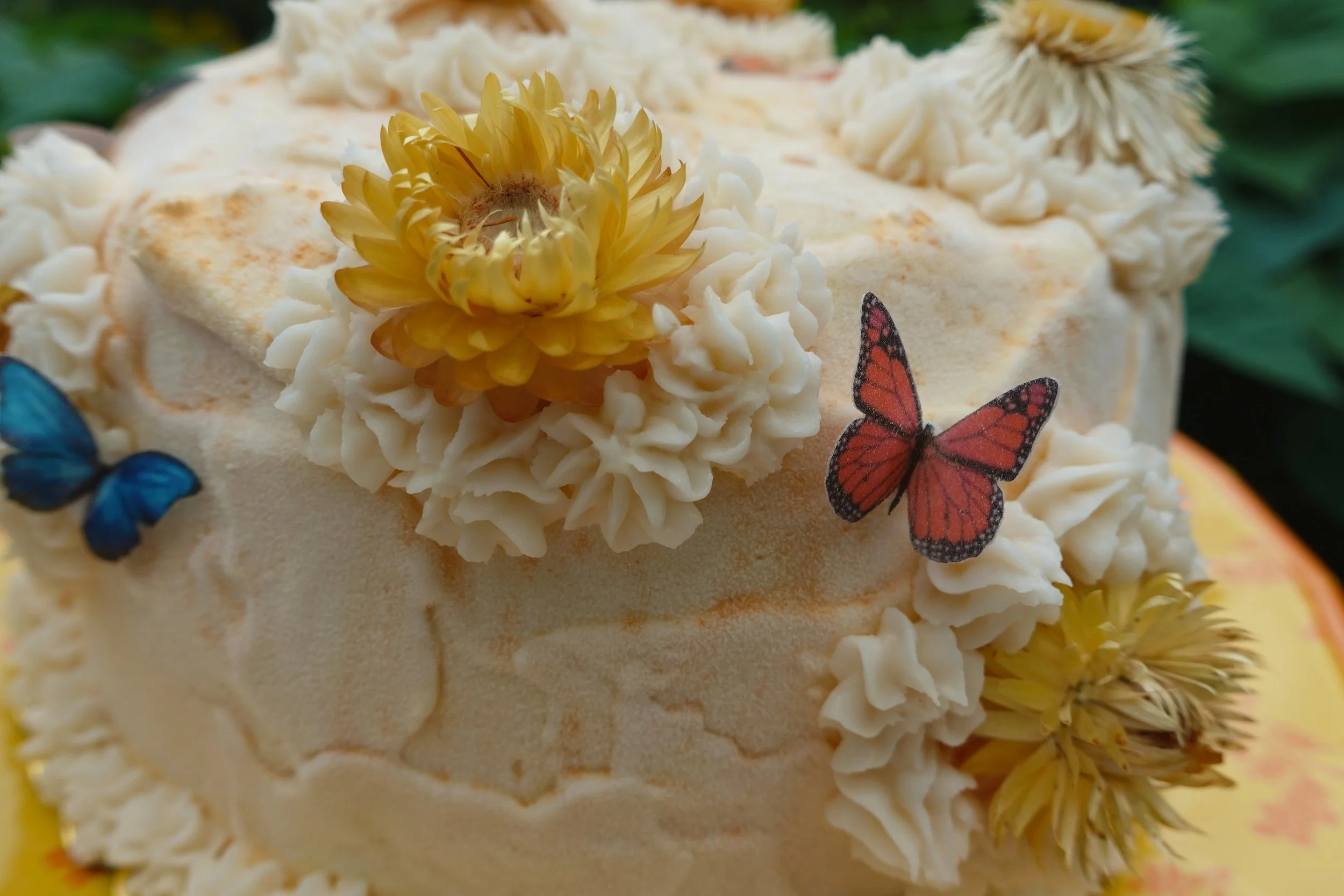 temp_Afterlight 4.JPG