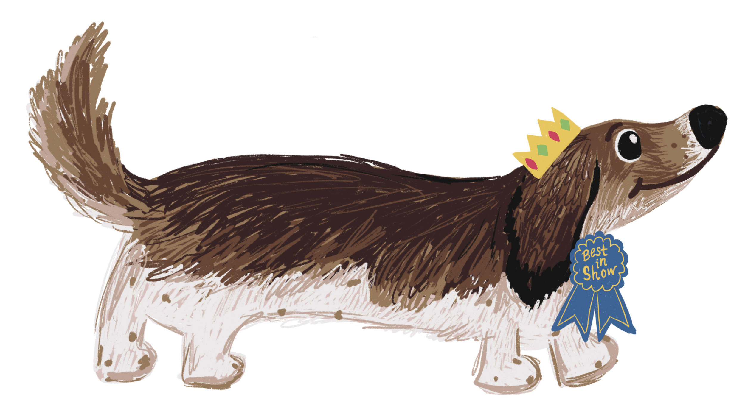 Show Dog Walking.PNG